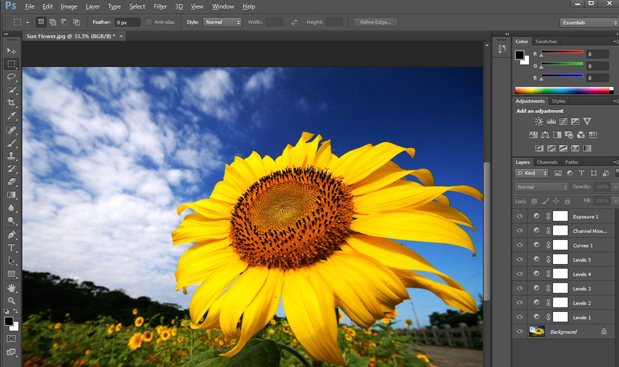 โหลด photoshop cs6 free